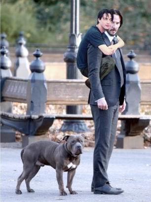 和基努里维斯一样帅的人,基努里维斯超帅照片