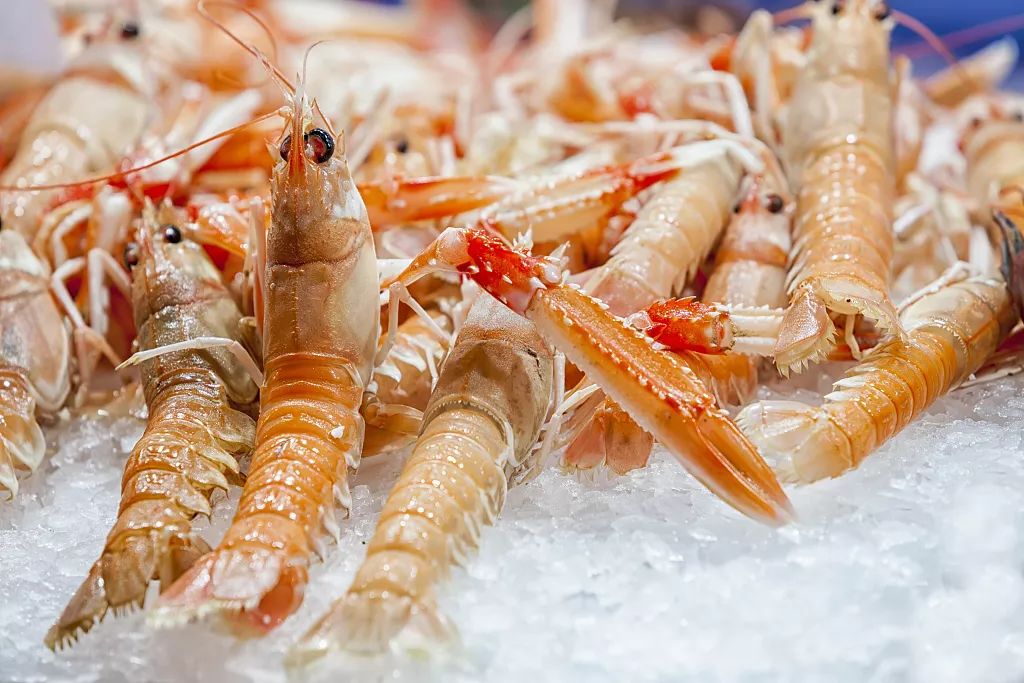 痛风福利重磅来袭,免费领取痛风礼物