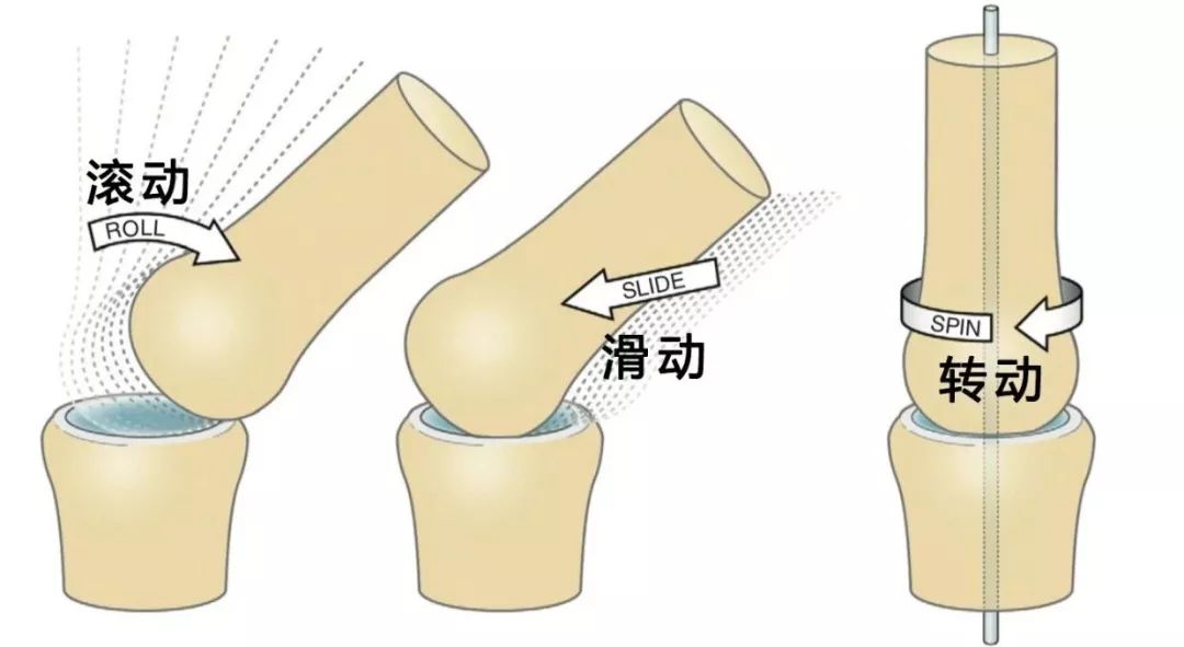 大腿根部嘎嘣响是怎么回事,大腿根内部关节咯嘣响