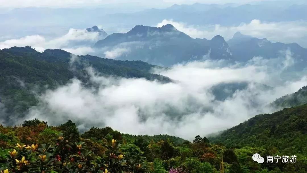 端午节南宁游玩攻略,南宁端午节三天旅游攻略