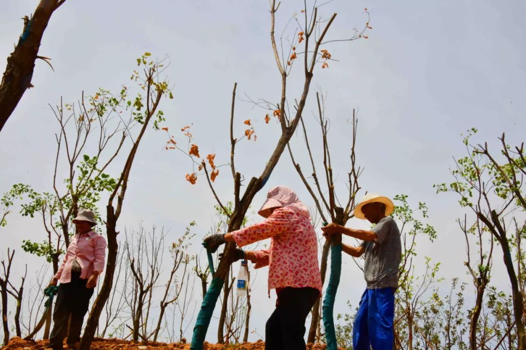 洛阳游乐设施公园,洛阳城市运动公园儿童游乐