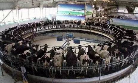 养殖机器发展趋势,畜牧养殖业的商机