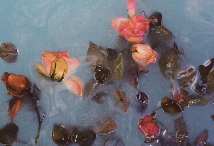 堪称女版飞机杯的“月经杯”,到底有多爽?