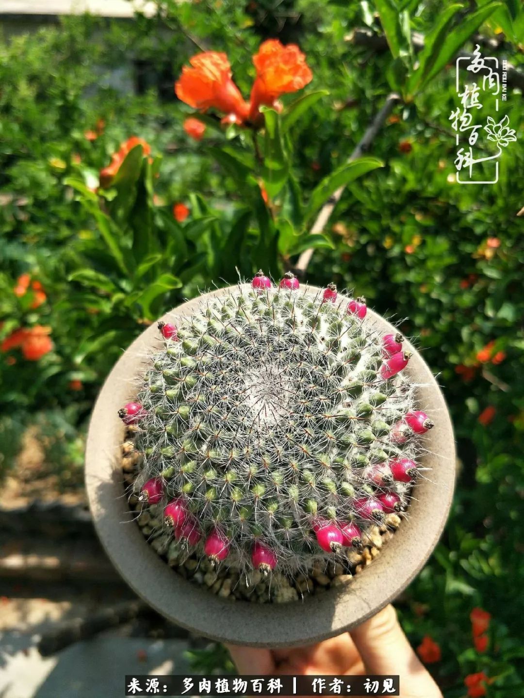 紧张的高三生活也需要适度的放松,紧张焦虑高考