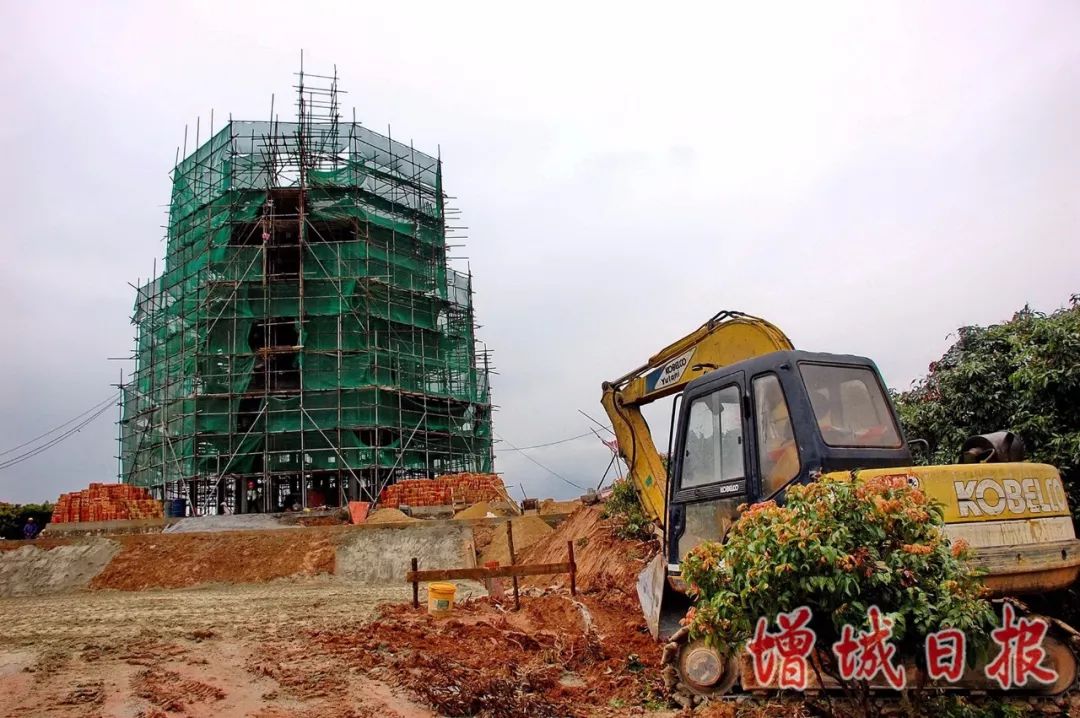 60张照片回忆成长,60多张老照片的回忆