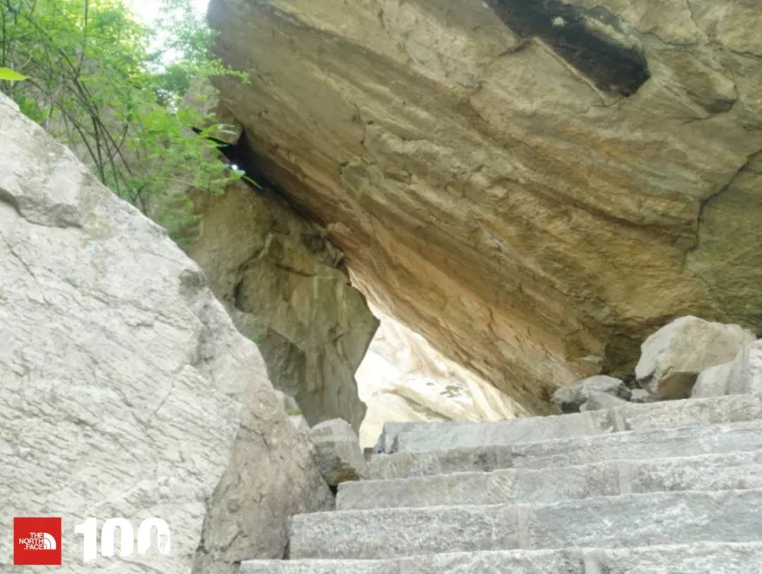 tnf100官网成绩查询,tnf100秦岭国际越野跑