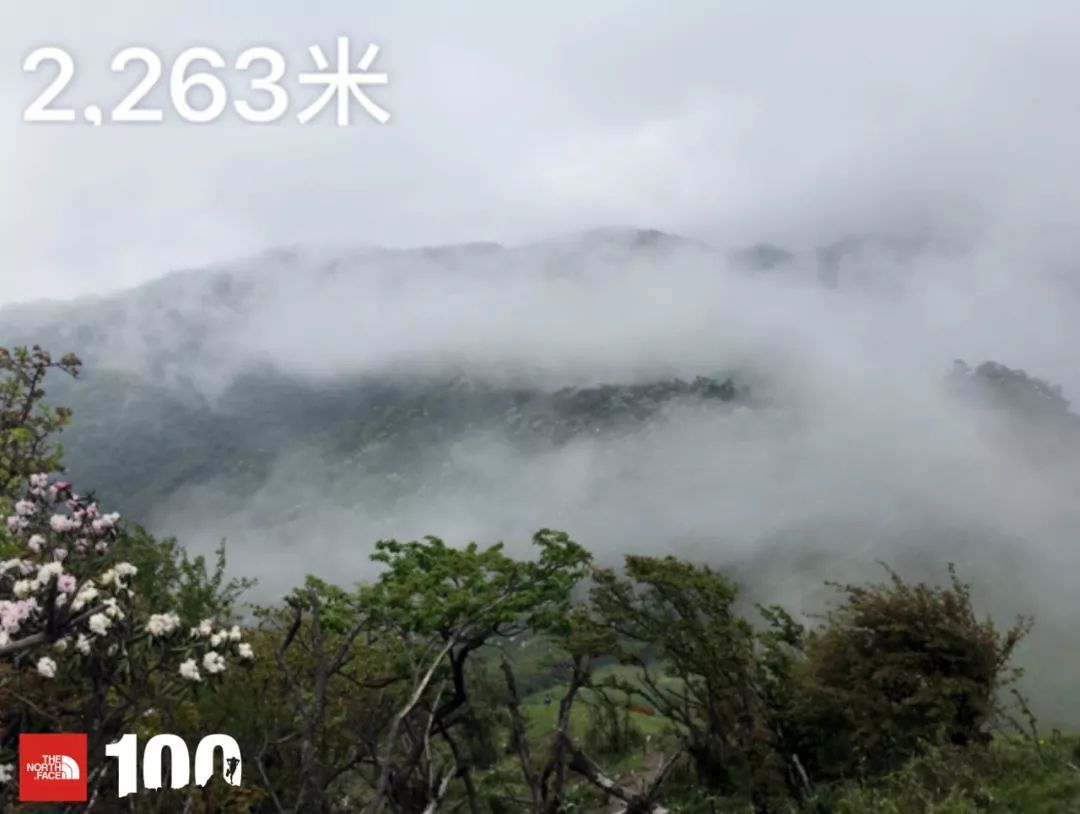 tnf100官网成绩查询,tnf100秦岭国际越野跑