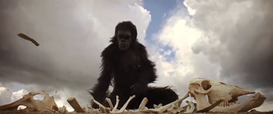 孙宇晨对话区块链,孙宇晨区块链完整视频