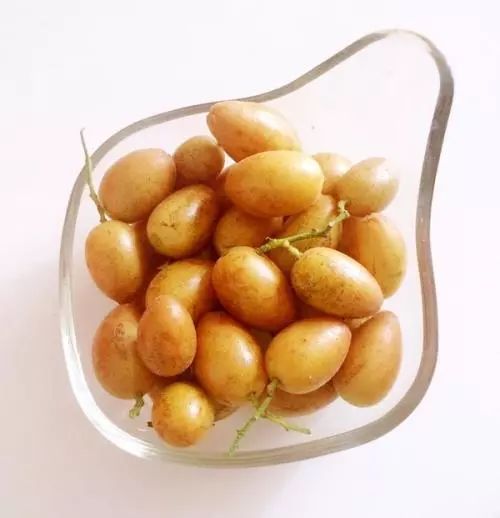 全身是宝的药,全身都是宝的种子