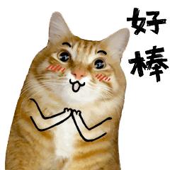 上海警方跨省打假玩具,上海警方跨省广东打假玩具