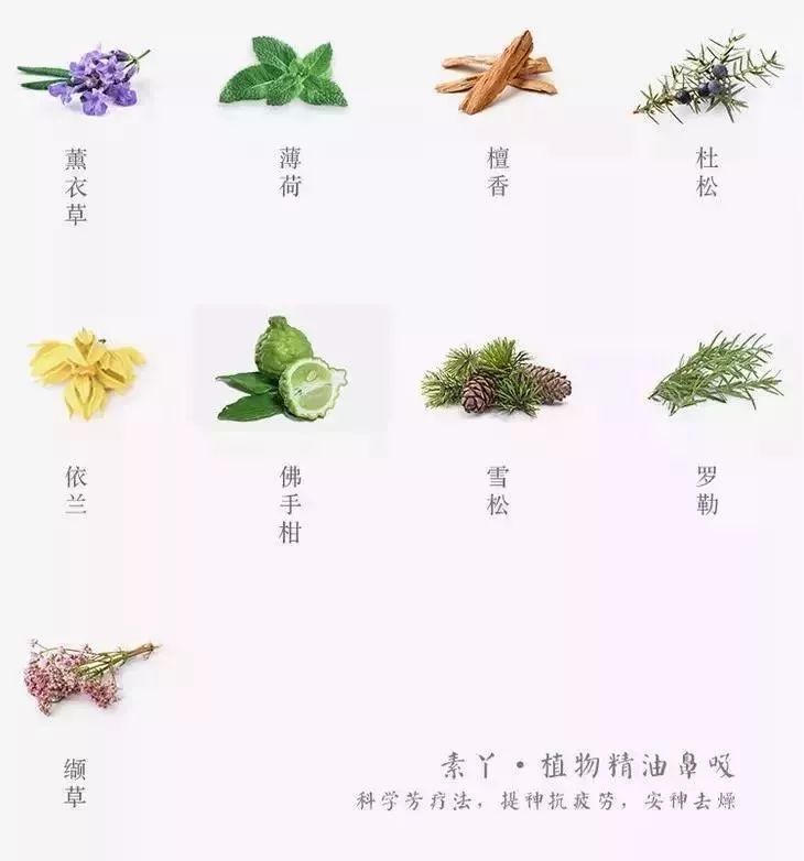 提神鼻吸真的可以防晕车吗,防晕车鼻吸推荐