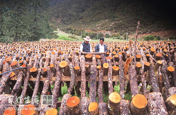 回乡创业带领乡亲致富的故事,创业失败3次继续创业