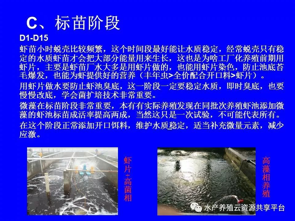 工厂化养殖南美白对虾技术详解,工厂化南美白对虾养殖全过程