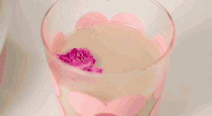 腹肌女王2.0版本升级，全网黑转粉逆袭人生新高度