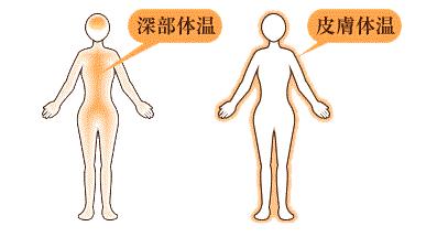 日本床垫黑科技,全球顶级黑科技床