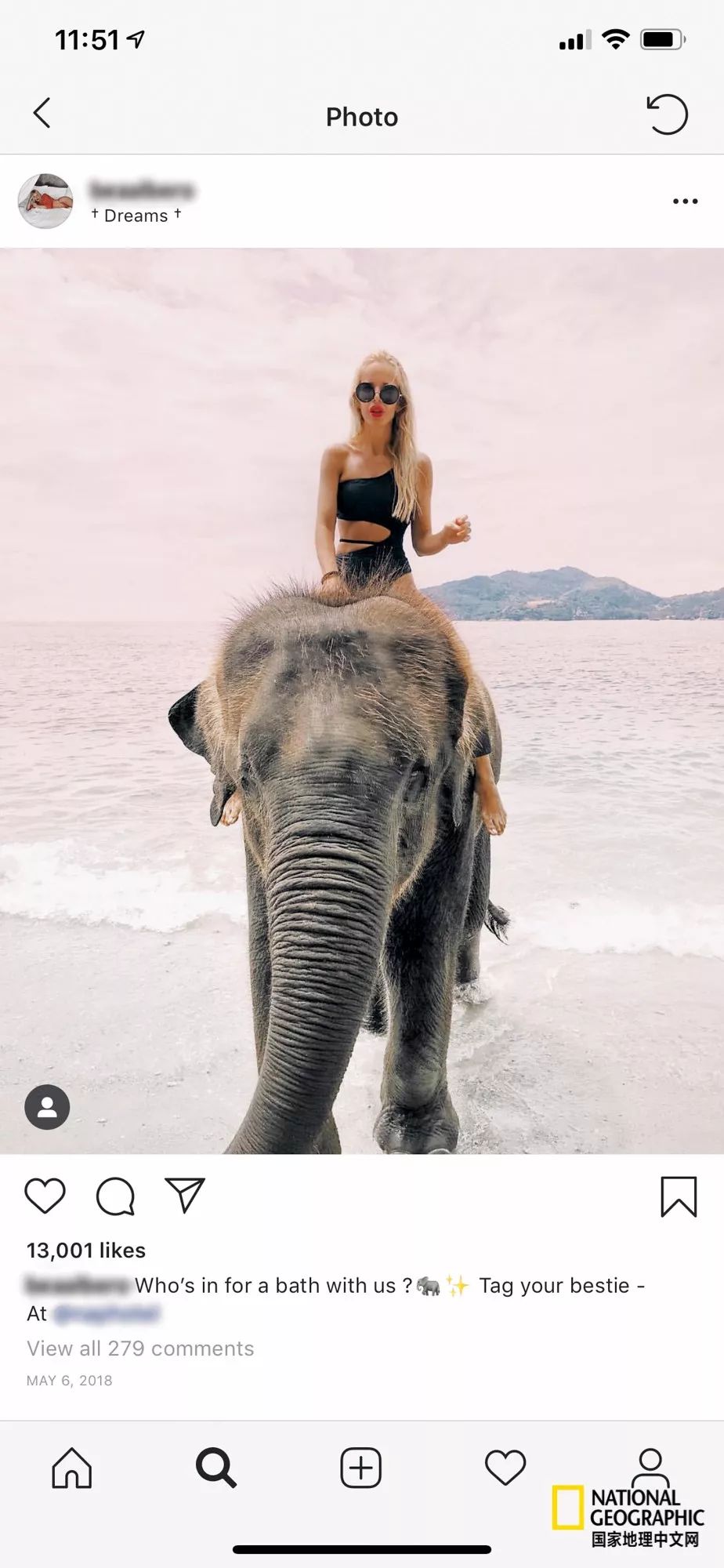 濒临灭绝的野生动物表演,动物表演的背后有多残忍