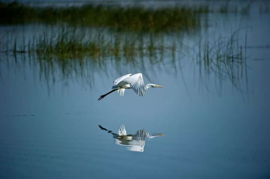 鏉惧北婀栫埗浜茶妭鏀荤暐,鐖朵翰鑺傛澗灞辨箹鍗庝负娆ф床灏忛晣