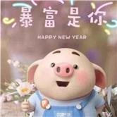 华星创业股吧,华星创业股吧千股千评