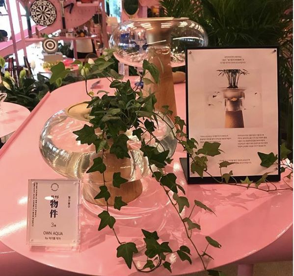 首尔最推荐的店,韩国首尔居家特价店