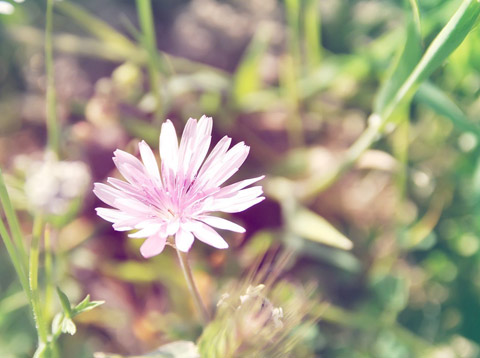 怎样对付天秤男的爱答不理,对付天秤男的最怕什么