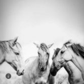 北新路桥股吧,北新路桥股吧股票