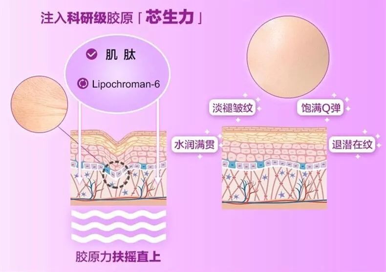 揭秘|弘叔悄悄话：吃了防腐剂般的美貌都是这么来的