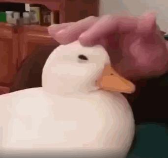 追尾婴儿被摔,急刹车小孩从后座摔下摔到头