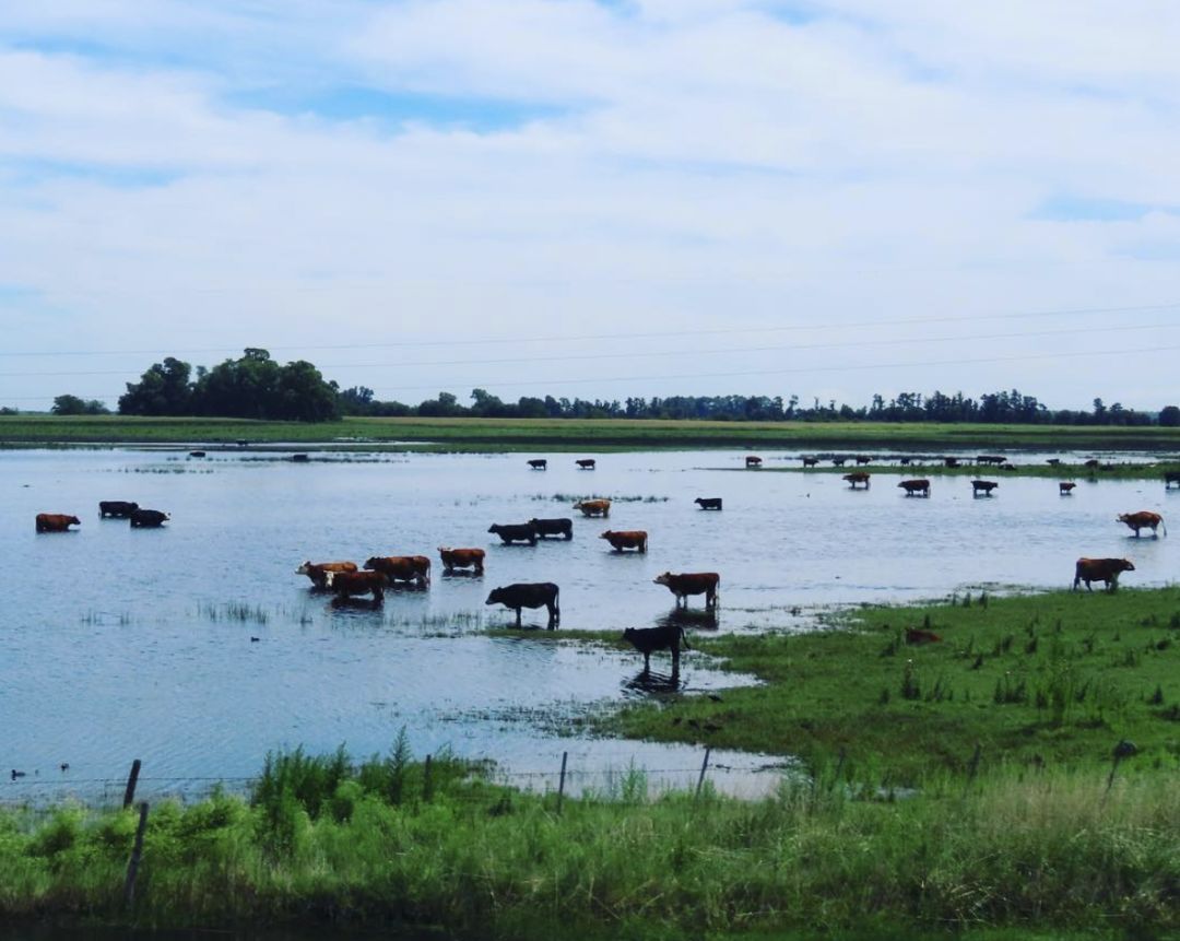 “十大恶风”驾到，天下退避