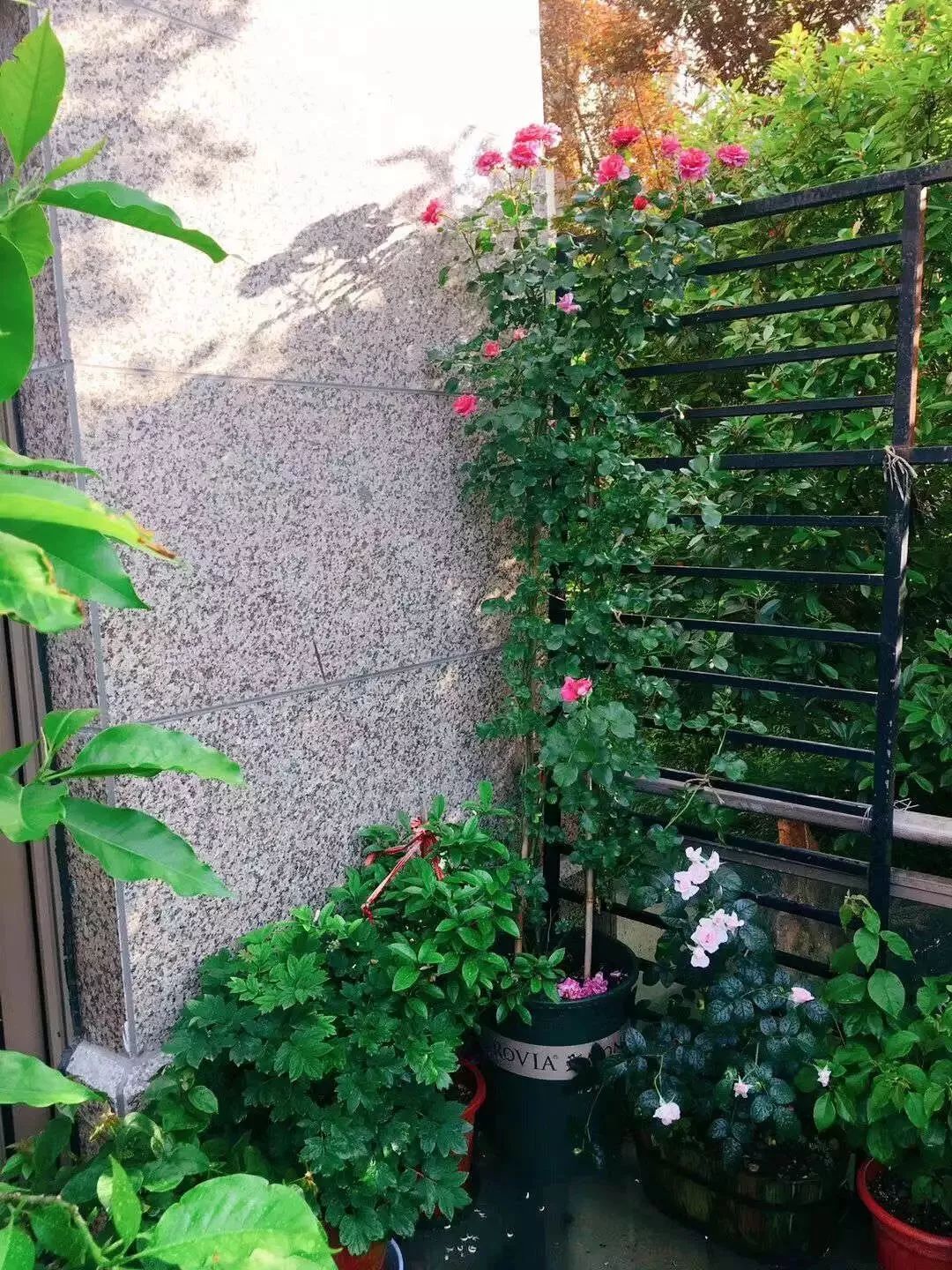 打造美好幸福的家,打造一片天地