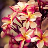 海康威视股吧几个跌停,海康威视股票