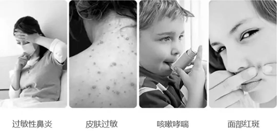 肉眼可见的除螨效果，日本爆款除螨贴，24小时不间断，除螨率高达97%