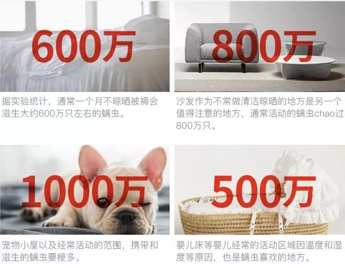 肉眼可见的除螨效果，日本爆款除螨贴，24小时不间断，除螨率高达97%