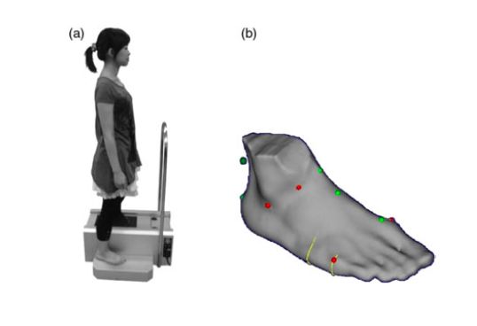 罗马脚埃及脚希腊脚的区别,罗马脚和希腊脚香港脚