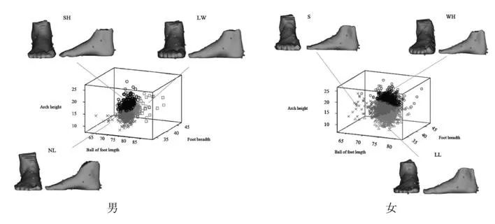 罗马脚希腊脚埃及脚命运,罗马脚希腊脚埃及脚各是什么特点