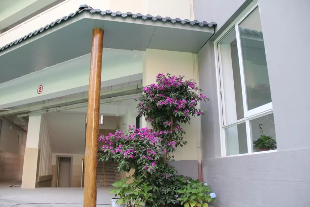 成都东城根街小学b区地址,成都东城根街小学靠谱吗