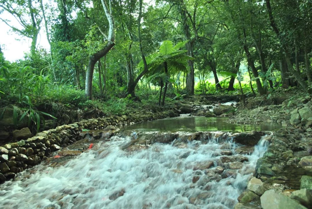 在宁德洋头，过了一段忘不掉的小生活！