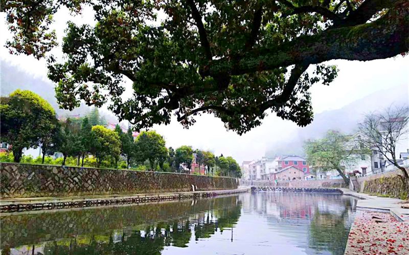 家门口的河道颜值内涵双提升,家门口的河道变美了