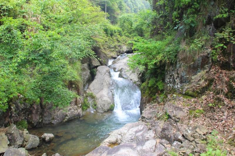 家门口的河道颜值内涵双提升,家门口的河道变美了
