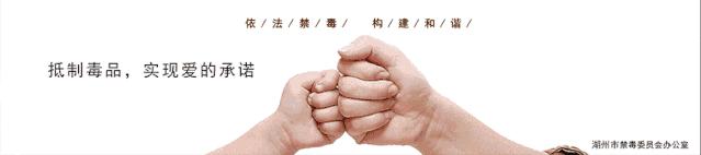 湖州高中录取分数线,2021湖州德清中考高中录取分数线