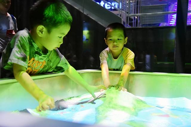 厦门最值得带孩子去玩的景点,带孩子厦门室内旅游景点推荐