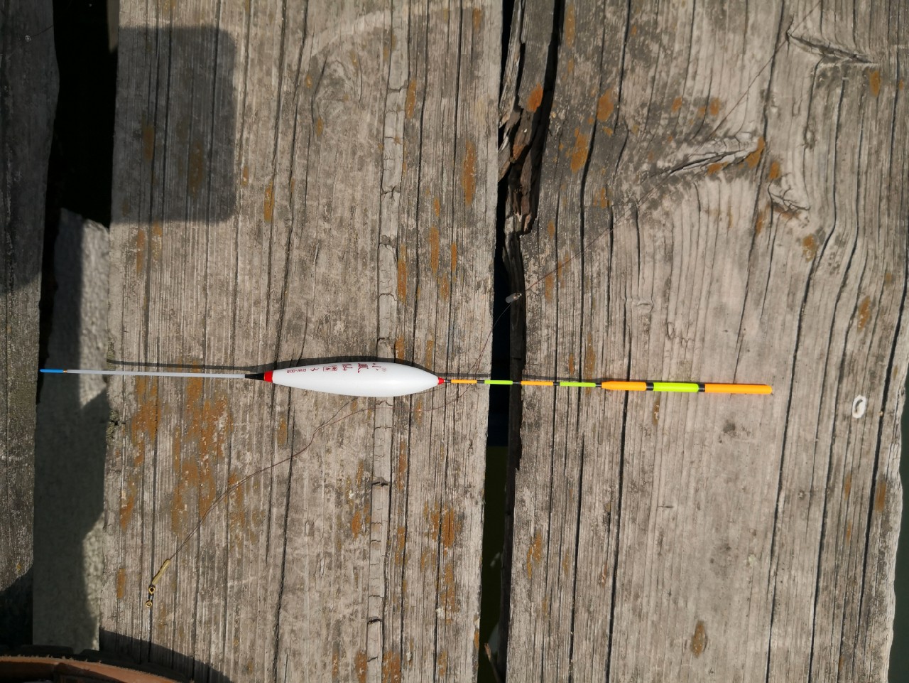 天盛湖垂钓鲢鳙,天盛垂钓园钓鱼