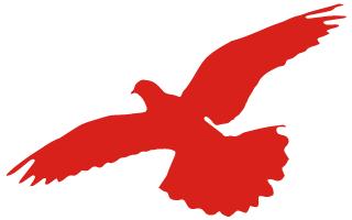 英国进口红茶代购,进口红茶代理