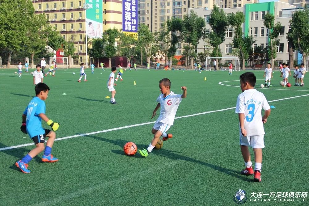 中国青训与国外青训,蓝队青训国青