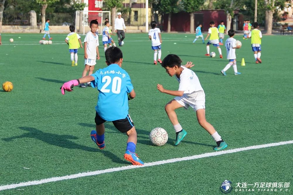 蓝队青训国青,中国青训与国外青训