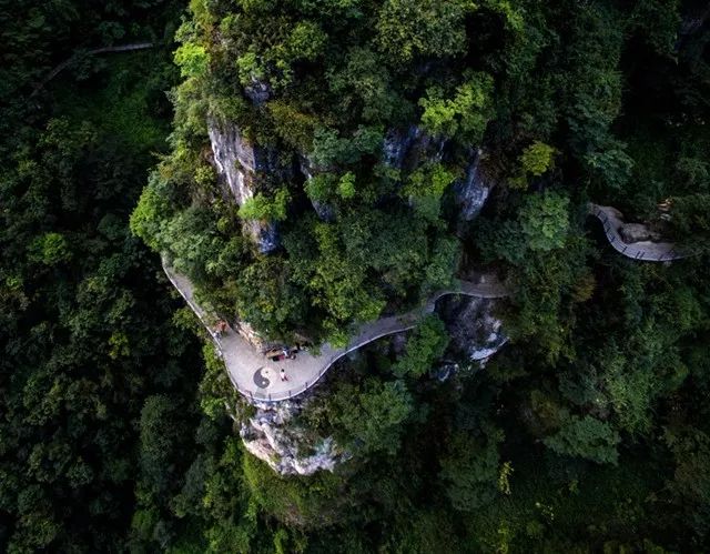 长阳城,长阳向阳花开