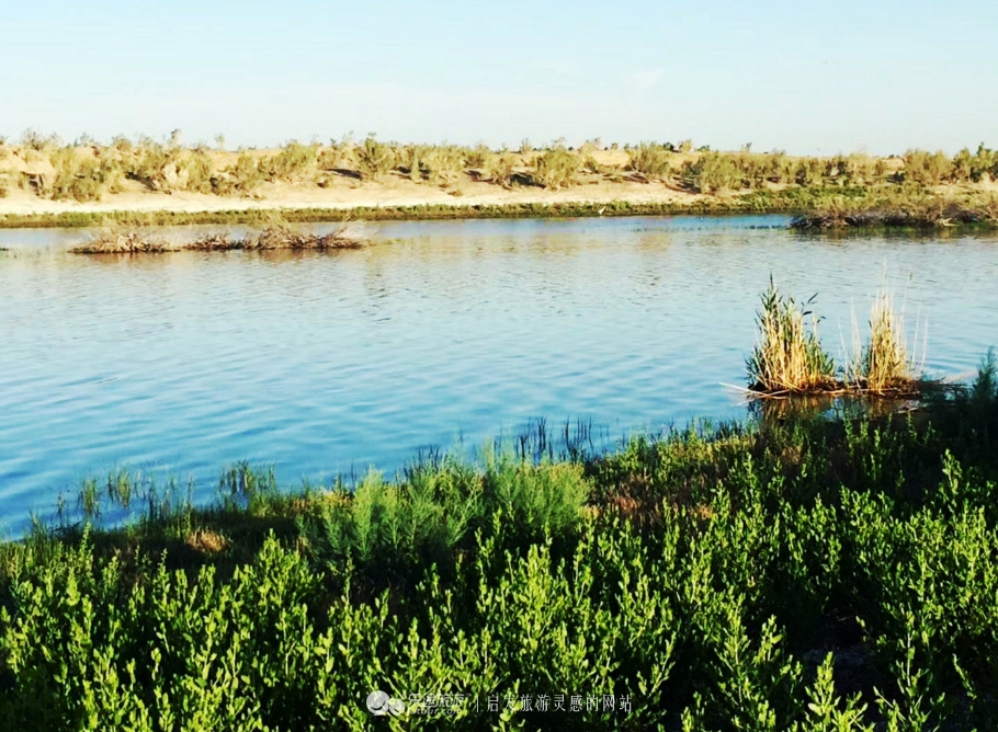 东道海子的视频,东道海子简介
