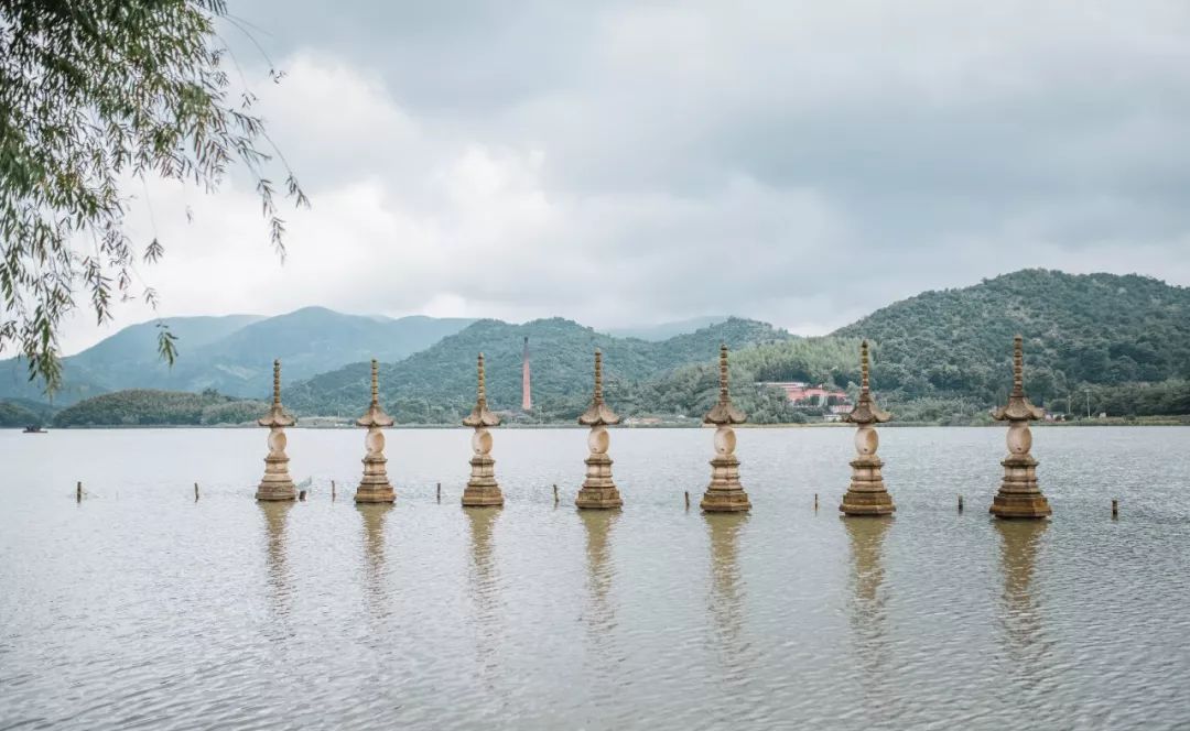 这座跟着周杰伦空降热搜的杨梅味小城,休渔期也能让你吃得满嘴鲜