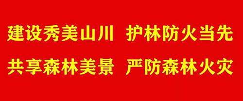 东胜最值得买的地方,琳琅满目的购物店