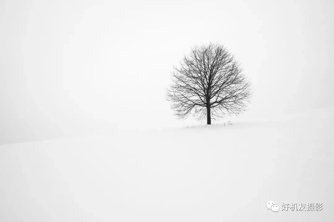 摄影中的空白与虚实,摄影中的景深三个要素