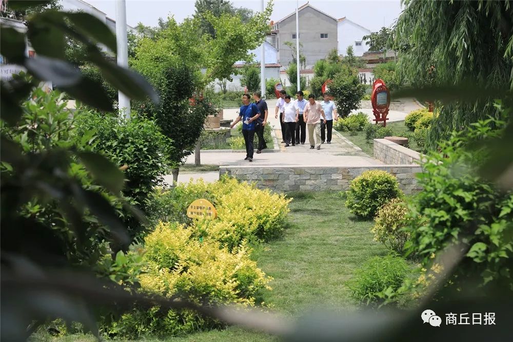 壮丽70年奋斗新时代四川篇,壮丽70年奋斗新时代兰考篇